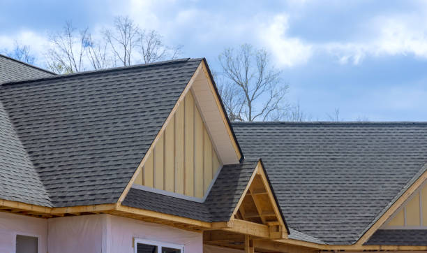 Best Asphalt Shingle Roofing  in Wauchula, FL