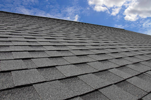 Best Roof Ventilation Installation  in Wauchula, FL